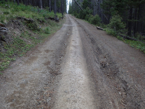 GDMBR: Rough Climb with a big rut and narrowing cycling space.
